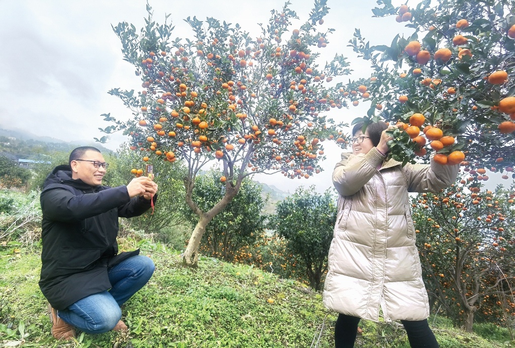 花椒直播怎么录制直播_花椒视频录制_视频花椒录制怎么弄