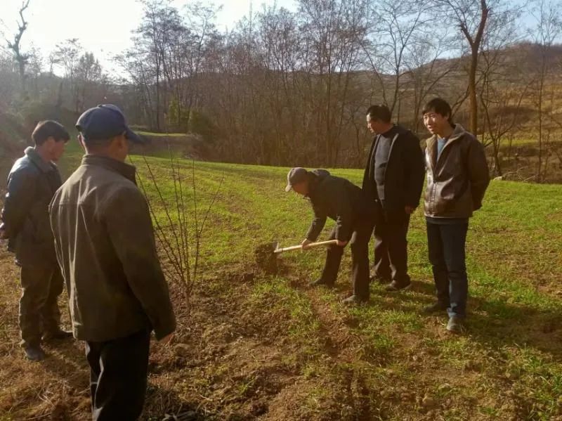 搭建舞台审批_北京搭建舞台_陇南市舞台搭建