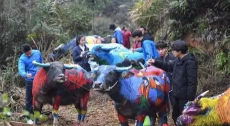 江西公款组织观看商业演出_江西公款组织观看商业演出_江西公款组织观看商业演出