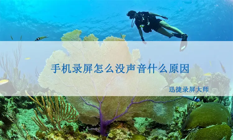 视频录制录声音怎么录_然后录制视频声音_视频录制怎么不录声音了