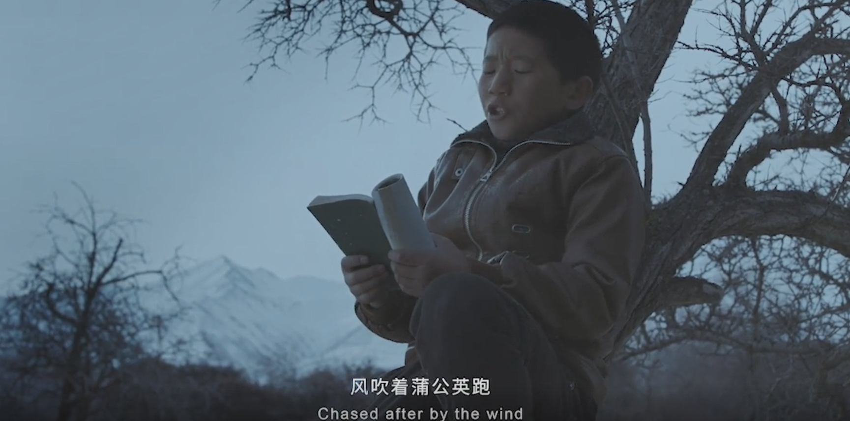 频频爆红的故事性广告，都有哪些共同的套路？