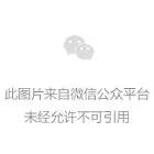 如何把录制的声音导入视频_视频录制导入声音怎么弄_把声音录到视频里