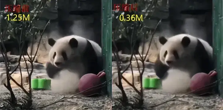 视频录制发送微信怎么发_视频录制发送微信怎么弄_微信如何录制发送视频