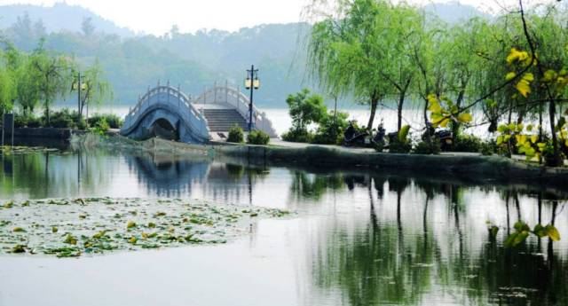 云南婚礼舞台搭建费用_搭建婚礼舞台累吗_搭建一个婚礼舞台需要多少钱