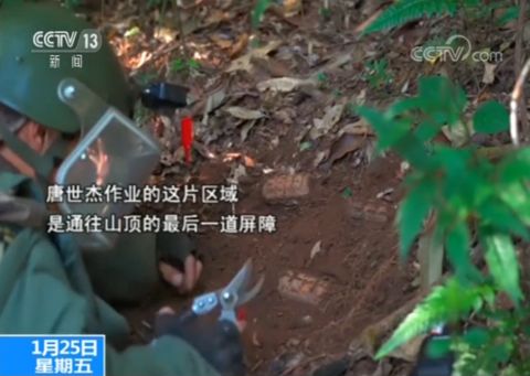 云南婚礼舞台搭建费用_搭建一个婚礼舞台需要多少钱_搭建婚礼舞台累吗