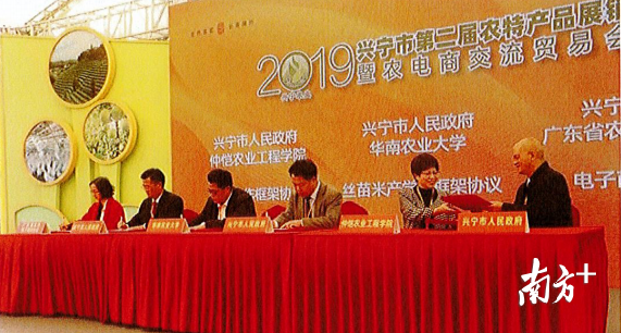 搭建舞台搭建_搭建舞台去那里_梅州舞台搭建机构