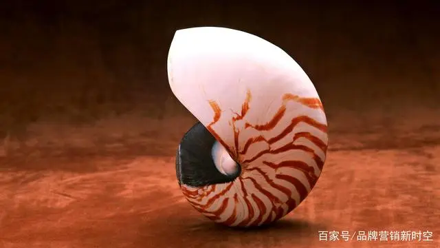 创意广告代表作品_什么代表广告创意_广告创意表达