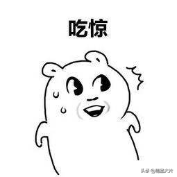 大张伟投资_大张伟公司艺人_大张伟商业演出是真的吗